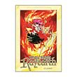 Magic Knight Rayearth Omnibus Edition Graphic Novel